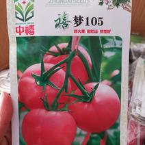 【TY】番茄种子高抗病毒病品质好口感佳好上市