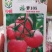 【TY】番茄种子高抗病毒病品质好口感佳好上市