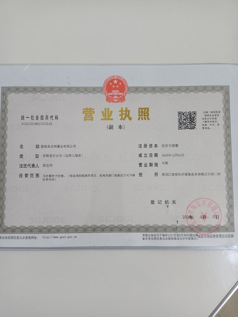 【优】黑龙江土豆种子，荷兰十五土豆种子，荷兰806种子