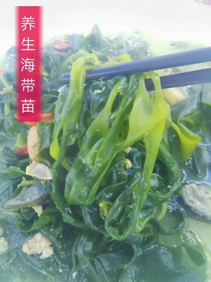 海带苗350g…………………