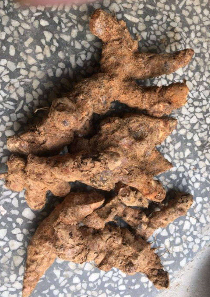 土茯苓统个新鲜鲜货白肉野生量大从优物美价廉