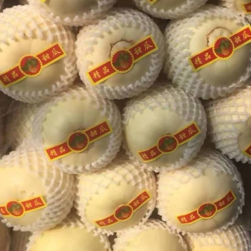 精品山东甜瓜白圆瓜绿宝星甜羊角蜜博洋产地直供品种齐全