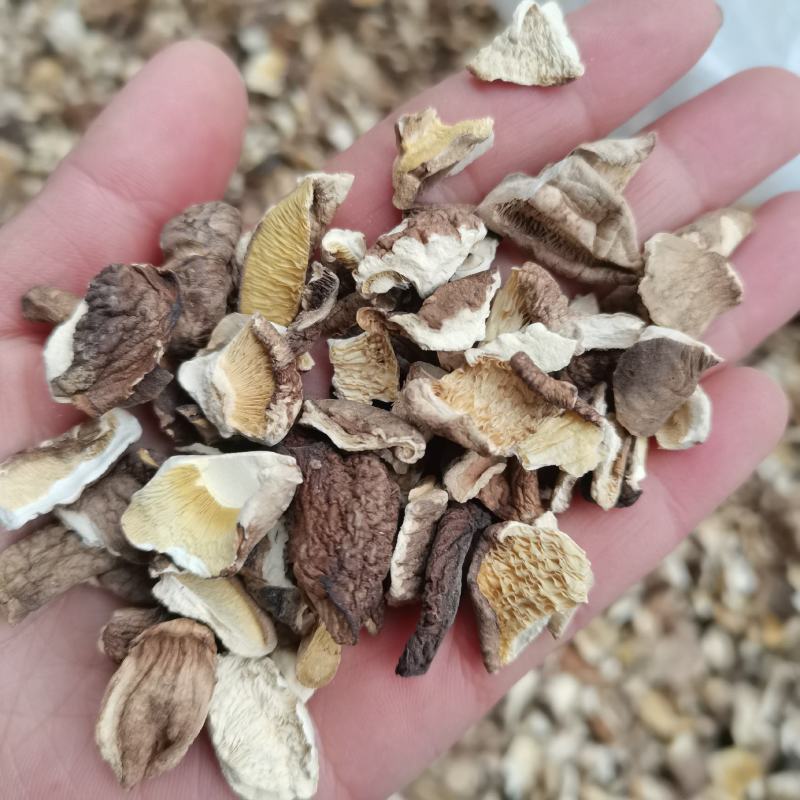 干香菇碎片破片烂片食用菌土特产原产地直发泌阳干香菇