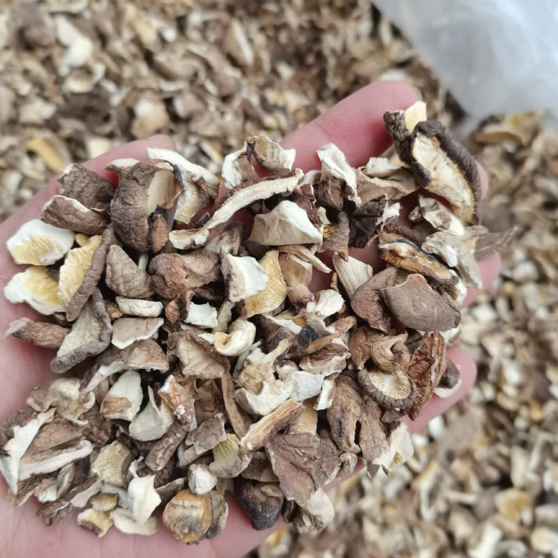 干香菇碎片破片烂片食用菌土特产原产地直发泌阳干香菇