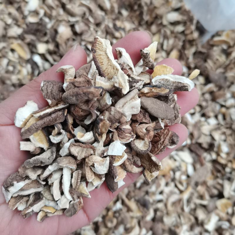干香菇碎片破片烂片食用菌土特产原产地直发泌阳干香菇
