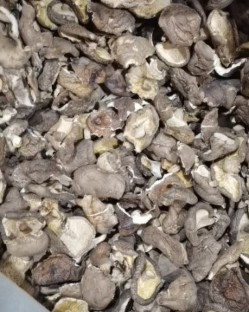 干香菇碎片破片烂片食用菌土特产原产地直发泌阳干香菇