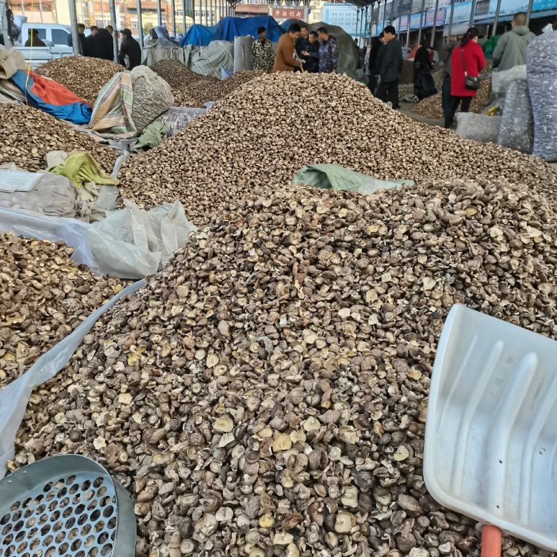 干香菇碎片破片烂片食用菌土特产原产地直发泌阳干香菇