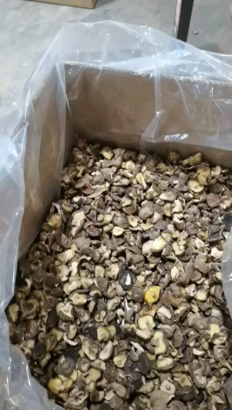 新货干香菇破片碎片食用菌蘑菇冬菇片常年有货产地批发