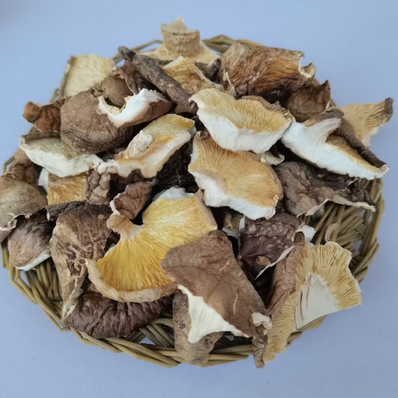 新货干香菇破片碎片食用菌蘑菇冬菇片常年有货产地批发