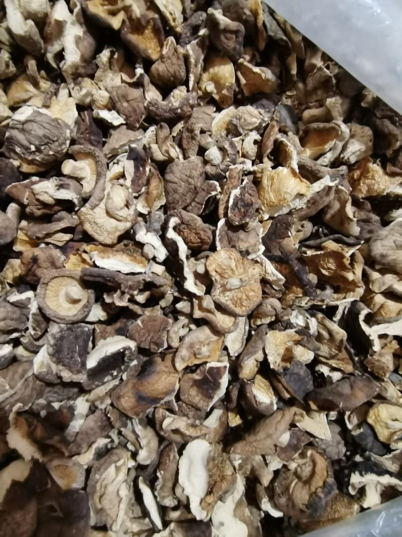 新货干香菇破片碎片食用菌蘑菇冬菇片常年有货产地批发