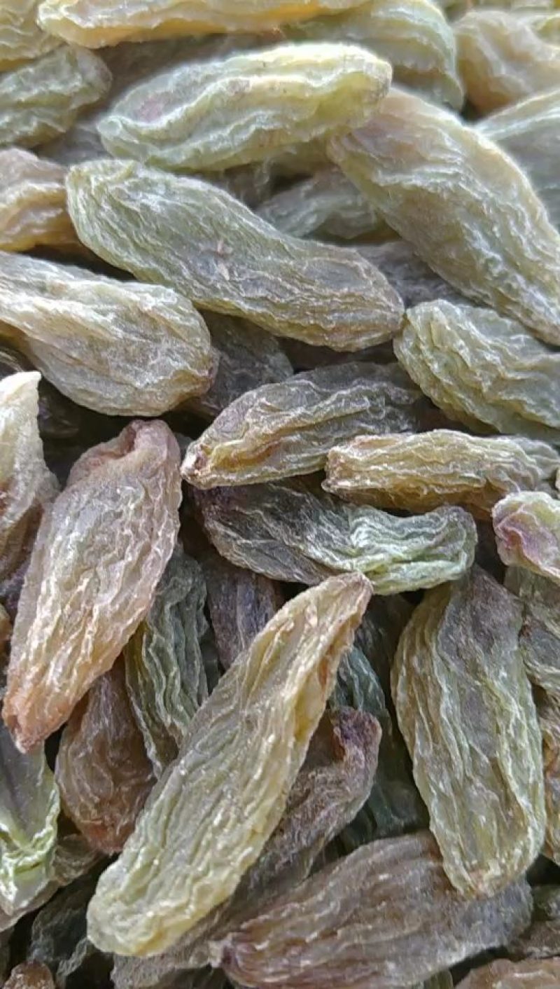 新货精选超大绿香妃王葡萄干无核肉厚肉超大装单件20斤装