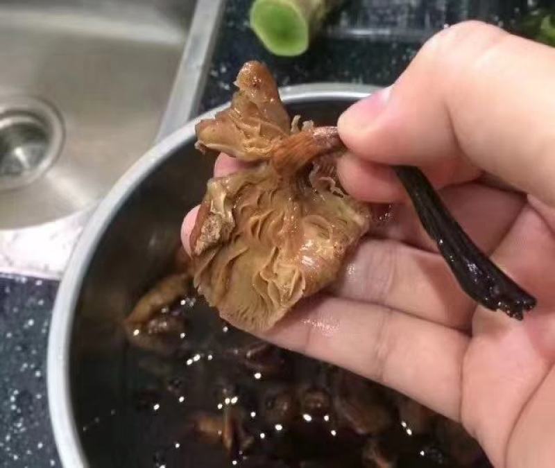 纯正野生正宗朝鲜榛蘑纯干货规格统一懂的来