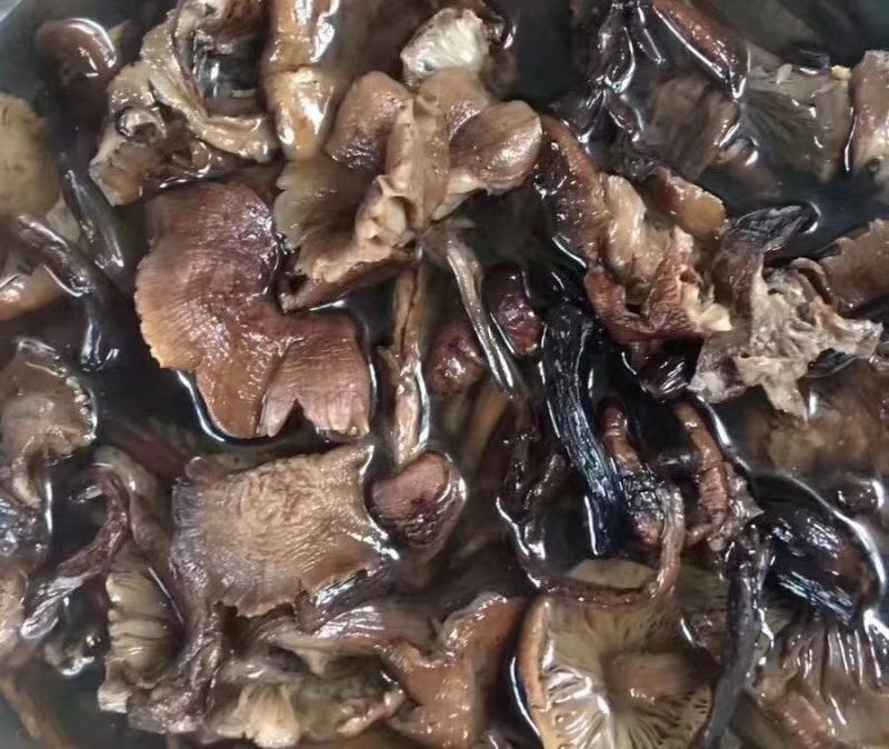 纯正野生正宗朝鲜榛蘑纯干货规格统一懂的来