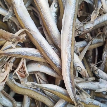 银针鱼，煎，炸，一箱净重，8.5斤左右，一手货源。