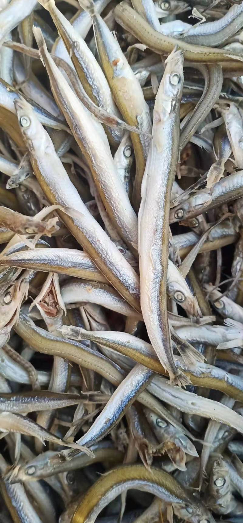 银针鱼，煎，炸，一箱净重，8.5斤左右，一手货源。