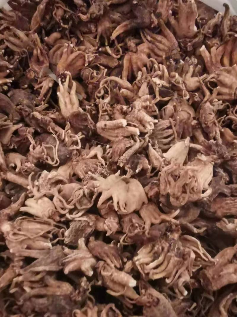 手掌参佛手参佛手参无硫各种中药材抓药方