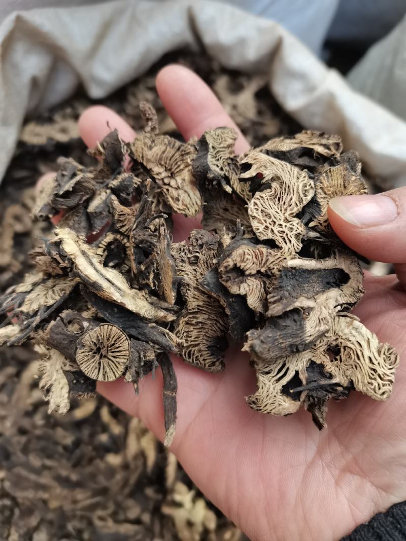 升麻升麻片东北升麻辽升麻干货包邮