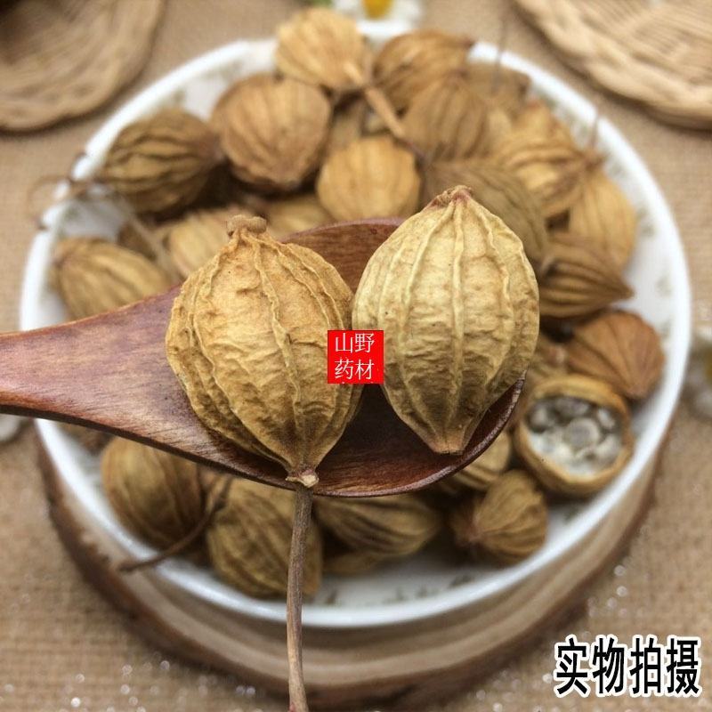 云南中药材砂仁川砂仁金砂仁香砂仁菜砂仁500g