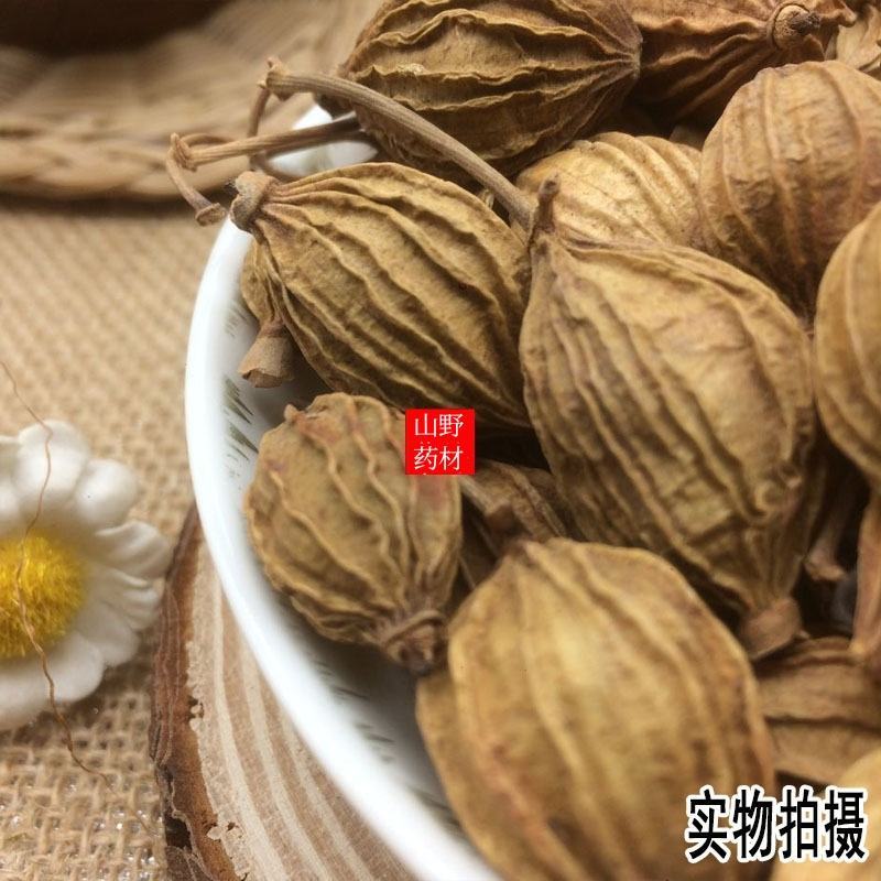 云南中药材砂仁川砂仁金砂仁香砂仁菜砂仁500g
