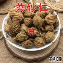 云南中药材砂仁川砂仁金砂仁香砂仁菜砂仁500g