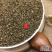 云南野生中药材地肤子止痒500g