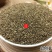 云南野生中药材地肤子止痒500g
