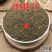 云南野生中药材地肤子止痒500g