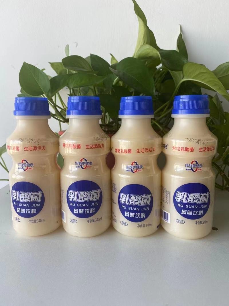 乳酸菌源头厂家旺季已到抓紧时间订货赚钱拼的就是手速