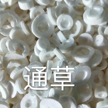 通草中药材批发大通草片通草白通草方通