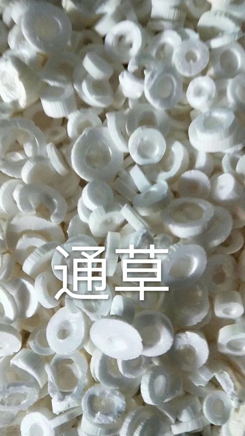 通草中药材批发大通草片通草白通草方通