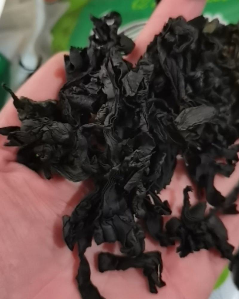 裙带菜海木耳海白菜35斤40斤厂家供货量大价优