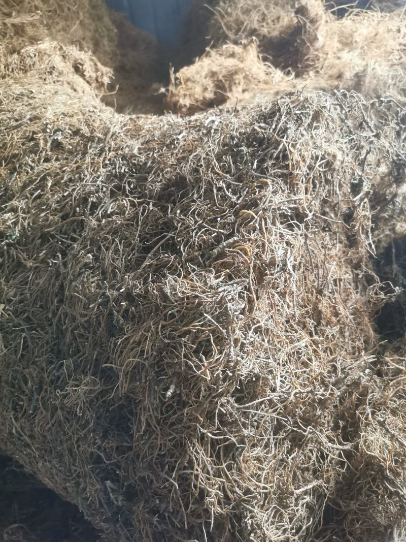 龙胆草选货批发中药材龙胆大货南龙胆龙胆草云南滇龙胆