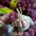 云南紫皮鲜大蒜现货，一件50斤左右，颗粒饱满，个头大
