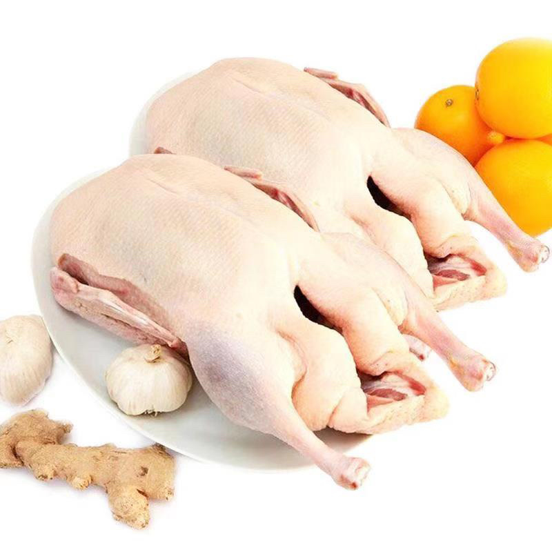 二级白条鸭一级白条鸭1100.