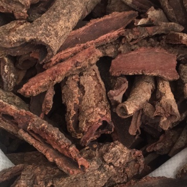 杨梅皮杨梅皮杨梅树皮药材冷门药材
