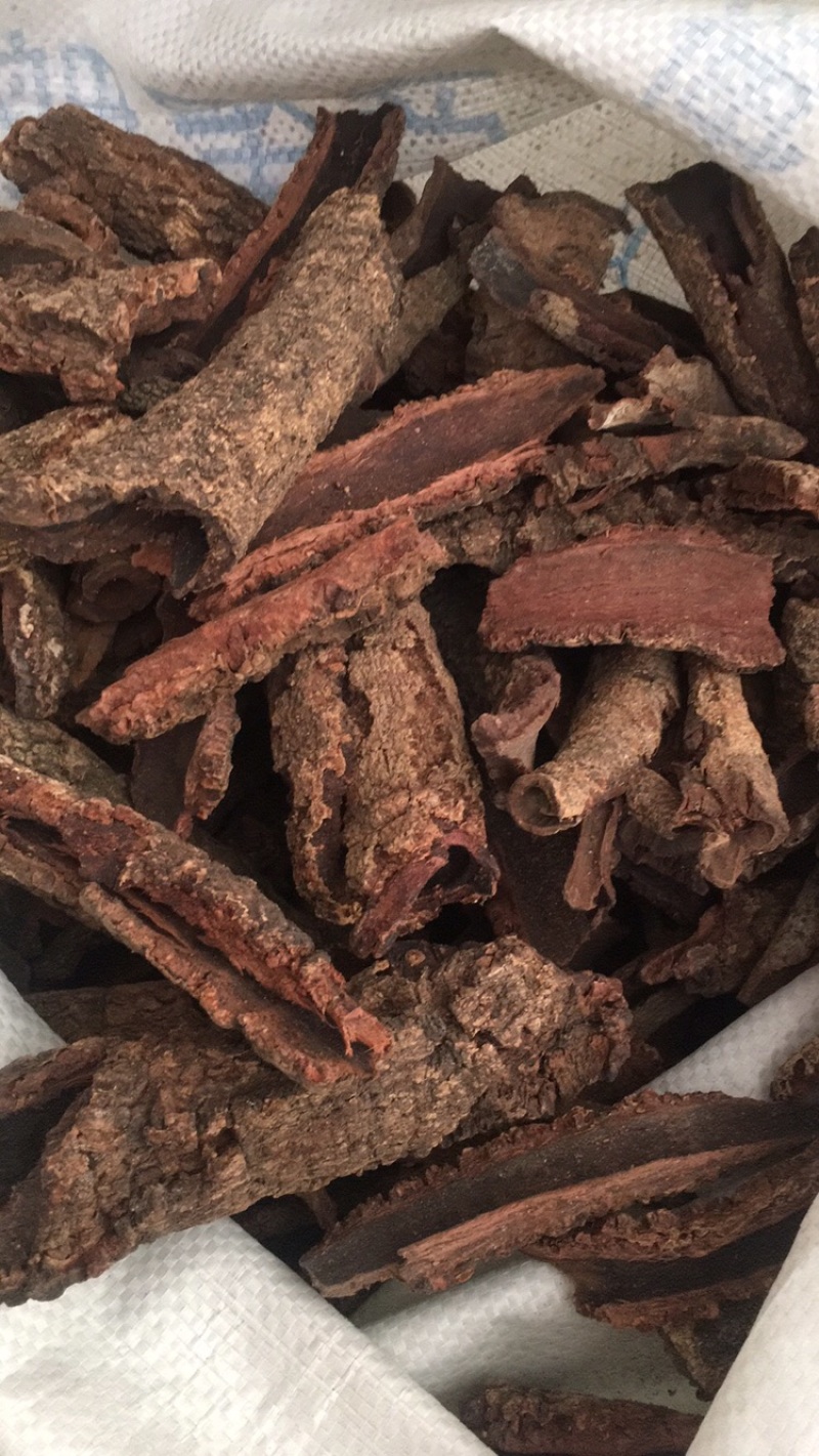 杨梅皮杨梅皮杨梅树皮药材冷门药材