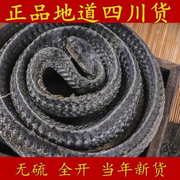 中药材乌稍蛇四川乌蛇乌蛇干包邮免费打粉乌蛇段