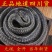 中药材乌稍蛇四川乌蛇乌蛇干包邮免费打粉乌蛇段