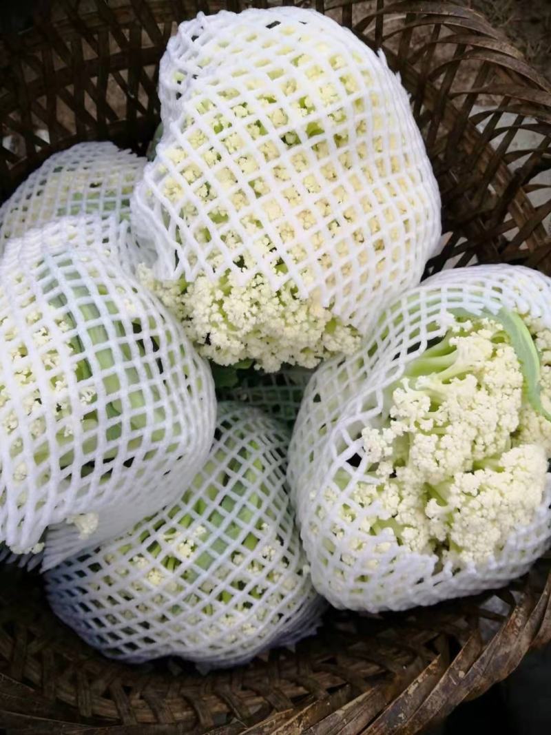 精品有机花菜，欢迎各位同行学习，实力代收代卖