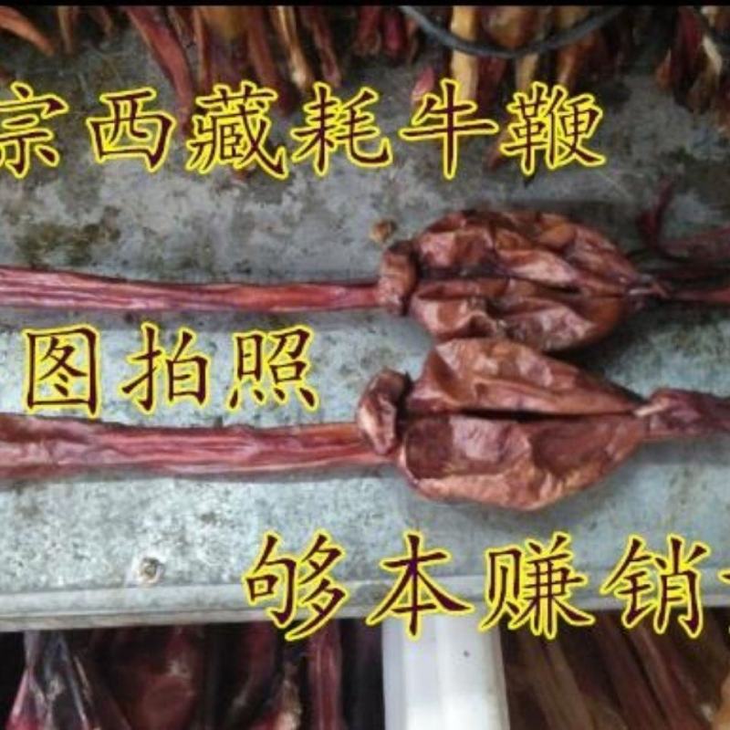 牛鞭杆各种规格整根滋补养生男人男性正宗中药材