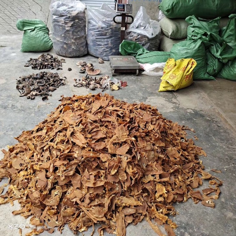 南竹笋子干货笋尖笋片足干气味香浓