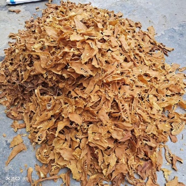 南竹笋子干货笋尖笋片足干气味香浓