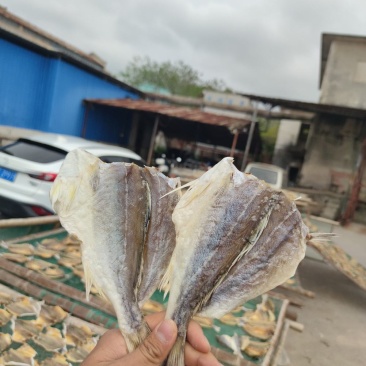 北部湾特产巴丽江甘草鱼甘草片小鱼干开片常年供应