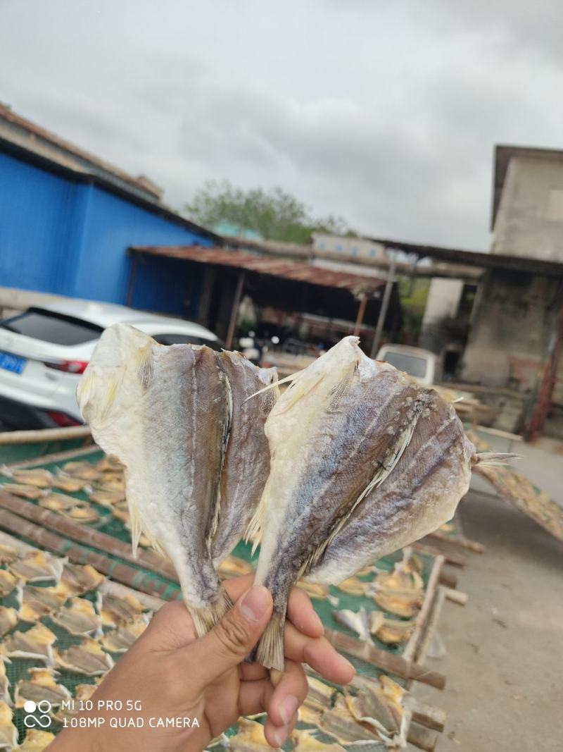 北部湾特产巴丽江甘草鱼甘草片小鱼干开片常年供应
