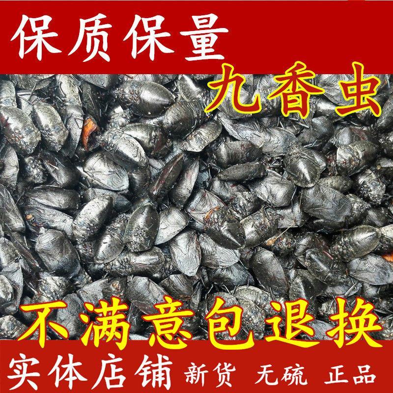 野生炒九香虫中药材清水小生九香虫打屁虫50g-25