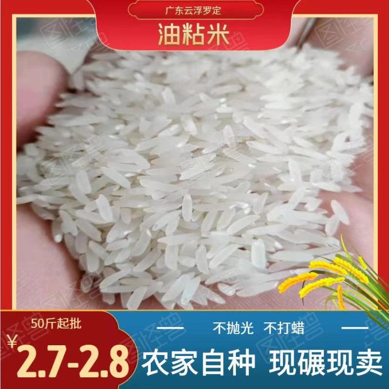 广东云浮罗定大米不抛光不打蜡油粘米