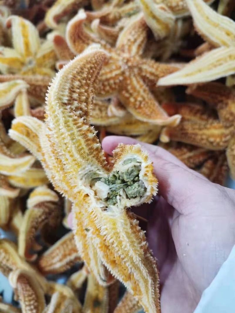 满籽鲜活熟冻海星海鲜即食海星鲜活熟冻五角星海五星满籽食用