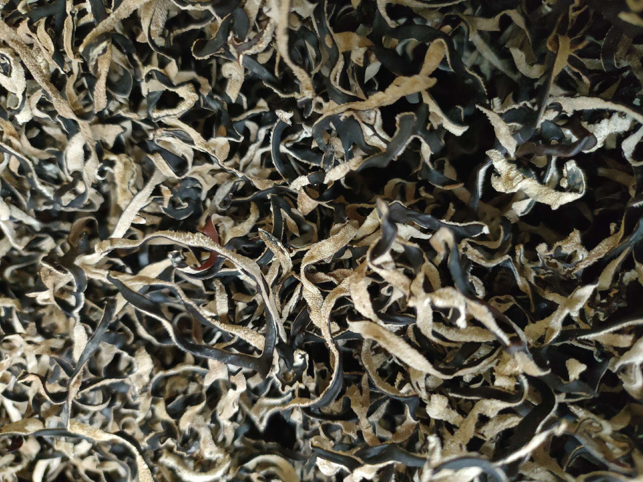 木耳红枣汤制作过程