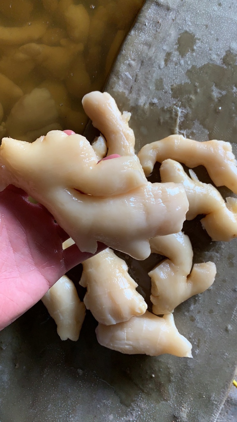 大量供应腌渍姜，盐渍姜，脱水姜，保鲜姜，生姜，仔姜，嫩姜