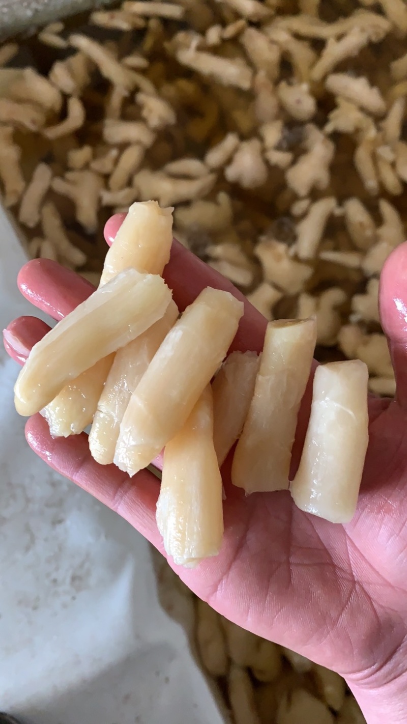 大量供应腌渍姜，盐渍姜，脱水姜，保鲜姜，生姜，仔姜，嫩姜